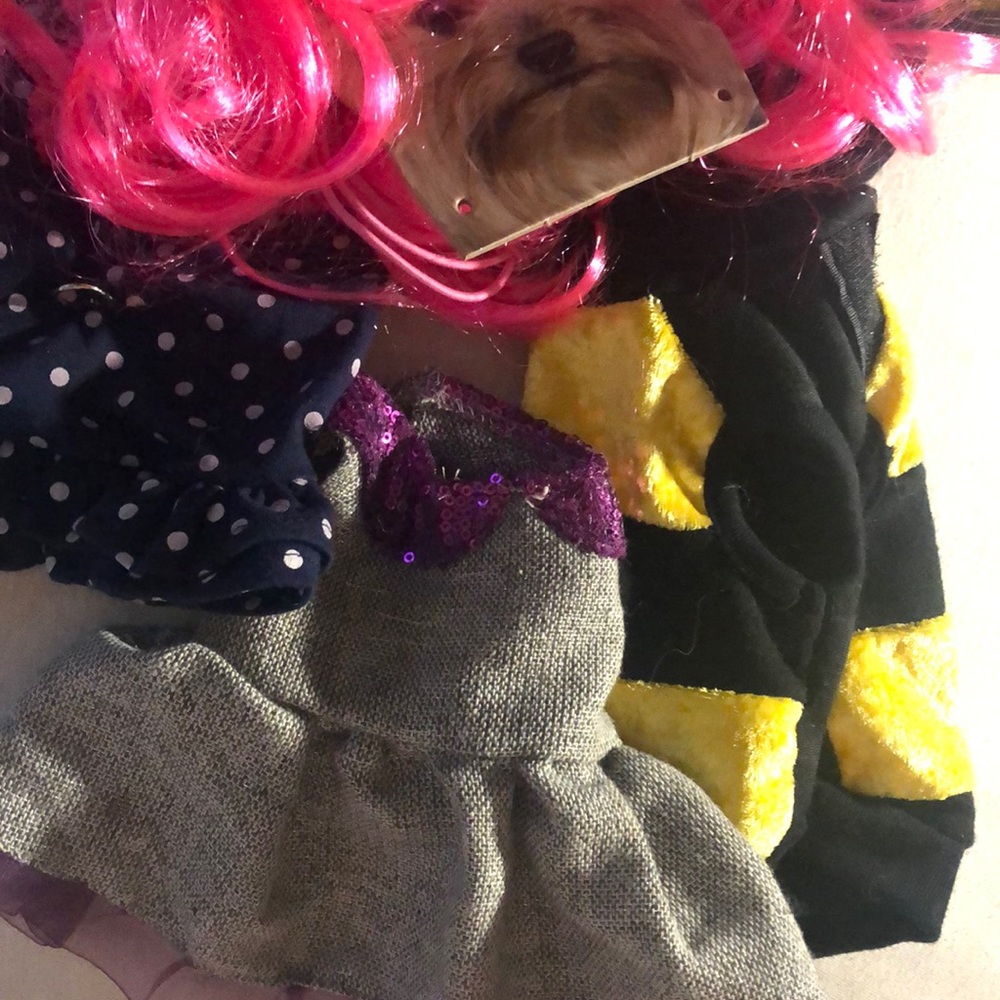 6 piece lot xs puppies